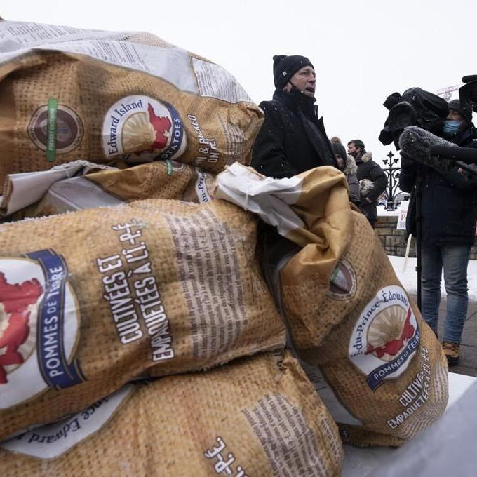 P.E.I. farmers say federal restrictions imposed to manage potato wart went too far